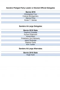 Microsoft Word - National Delegate and Alternates Elected at Con
